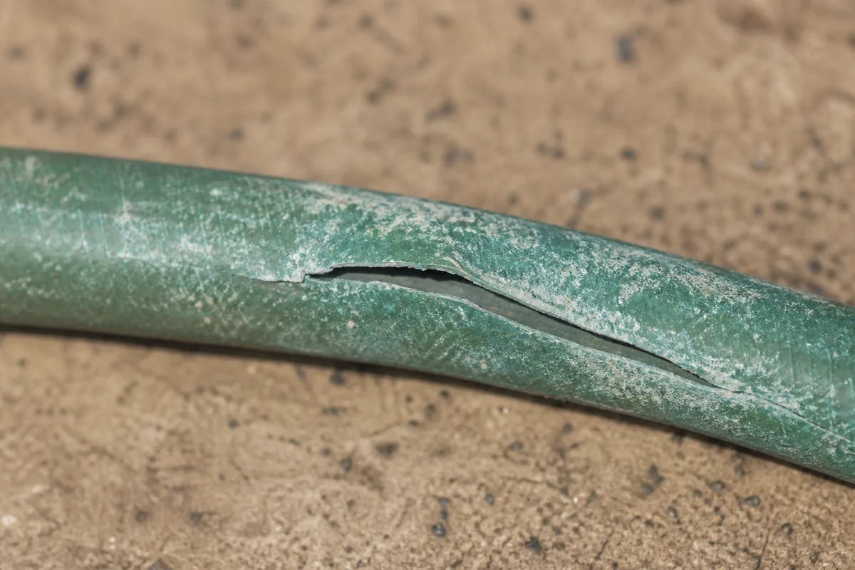 A split, sun-damaged section of an old vinyl garden hose