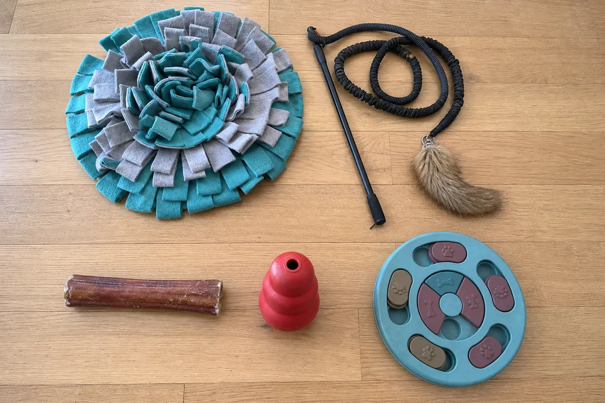 Indoor dog enrichment gear laid out on the floor: snuffle mat, flirt pole, chew, and puzzle toy